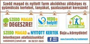 SZEDD MAGAD